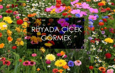 rüyada çiçek görmek
