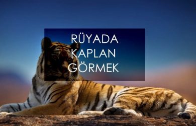 rüyada kaplan görmek