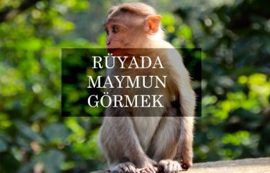 rüyada maymun görmek