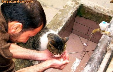rüyada sevap işlediğini görmek