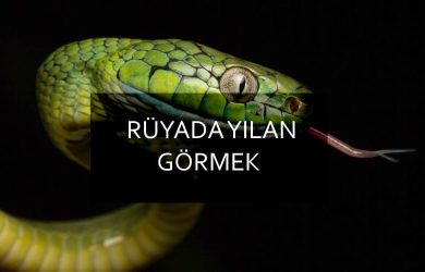 Rüyada yılan görmek