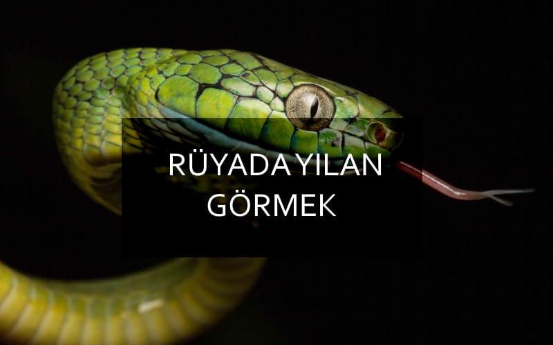 Rüyada yılan görmek